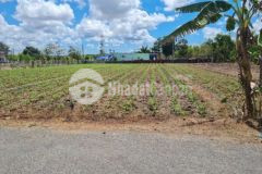 Đất mặt nhựa 6m dt 782 5x55m2 500tr ngay kcn