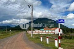 Đất sổ đỏ gần tttp tây ninh dt 7x18m đường nhựa 8m