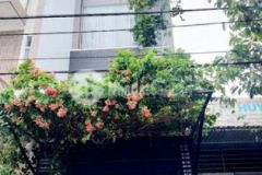 Bán nhà 3 tầng 1 tum mặt tiền vĩnh trường