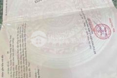 Ngợp đất trảng bàng kp hoà hưng