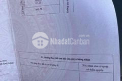 Khu phố chợ vĩnh điện 125m2 đường 7m5 vỡ nợ