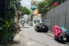 Biệt thự bán cổ điển nguyễn trọng tuyển khu vip