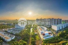 Căn hộ flora panaroma giá trực tiếp chủ đầu tư