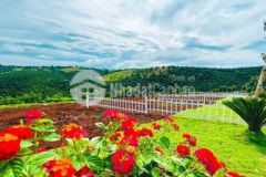 Ngộp ngân hàng ra đi lô đất 400m2 thổ cư có sổ