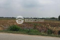 Đất tp tây ninh 2 mt nhựa 10m 103x47 thích hợp đầu