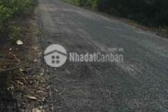 1 hecta mặt tiền huyện lộ 42 tân hoà tây tân phước