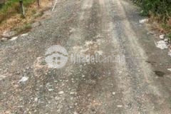 1 6hecta mặt tiền tây tuyến bảy tân lập 1 tân phướ