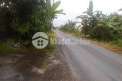 1 3công mặt tiền huyện lộ 39 tam hiệp châu thành t