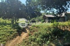 Em bán 20 ha và 400 m2 thổ cư 5848 đất cln