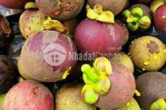 2 sào 150m2 thổ cư 2 4tỷsào xã bình lộc