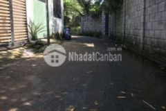 Đât re nhât đông hoa tp di an