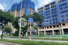 Chuyên tư vấn căn hộ dream home riverside quận 8