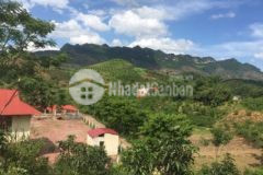 4100m2 đất mộc châu giá cực rẻ chủ cần bán gấp