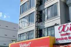 Bán chdv 22 phòng mt đường 6 hbc, dt 250m2, giá 41 tỷ