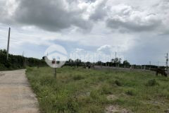 1000m đất gần biển lô 2 đường nguyễn minh châu xã tân tiến tx lagi bình thuận 1,5 tỷ