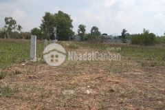 Đất 1614m gần biển phủ hồng xã tân bình tx lagi bình thuận giá 1,9 tỷ khu rừng vàng