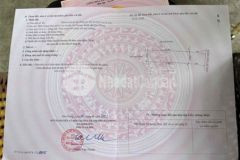 Chính chủ em cần bán đất tràng duệ lê lợi