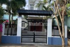 Bán biệt thự mini mặt tiền đường cần đước long an