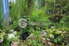 Đất mặt tiền tân hạnh giáp p9 long hồ vl