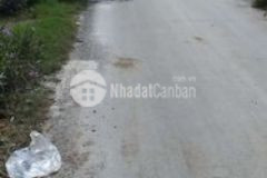Cần bán 620m2 đất mặt tiền đường nhựa 6m