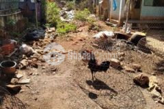 Bán đất ql20 bàu hàm 2 thống nhất đồng nai