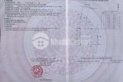 Đất thổ giá cực mềm tại tpt