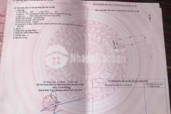 Bán đất kiệt tôn đản thông trường chinh