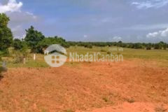 Chính chủ bán lô đất 1000m2 ngay kda rạng đông