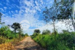 507trsào đất 2 mặt tiền đường nhựa