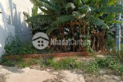 Xả lỗ 3 75tỷ115m2 32trm2 đất hẻm 6m 1tl37