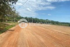 Cần bán 1 000m cách chợ tân phước 500m đường 19m