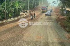 Thanh lý vườn trái cây sắp thu hoạchsổ sẳn giá rẻ