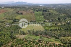 Ngộp cần bán gấp trong tuần chỉ 50 000m2