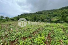 Bán đất cao phong hòa bình dt 2400m2 có 400m tc