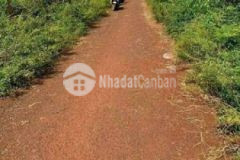 Đất thổ cư đường nhựa tại gia lai