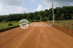 50 nên binh phươc gia đâu tư chi 580tr nên