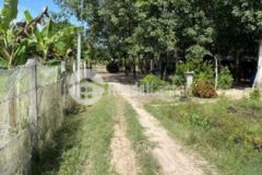 340tr hết đất co ngay 1lô trích lục sẵn cc liền