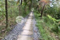 Đất vườn xã tân phú tây mo cay bac tp bến tre