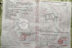 Nhà lô hưng phú p10 q8
