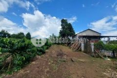 245 triệu 500m2 có 80m2 đất ở