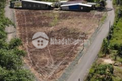 Đất dân thành tâm, chơn thành cần bán