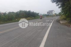 1công mặt tiền tỉnh lộ 878,tam hiệp,châu thành,tiền giang