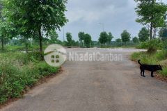 Bán lô góc, mặt đường đôi tđc đh quốc gia, vị trí đẹp, giá hợp lý dành cho các nhà đầu tư nhanh tay