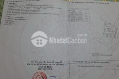 Chính chủ bán cắt lỗ mảnh đất trung tâm vân đồn diện tích 193m2 giá 11 triệum2