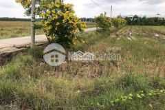 Bán đất 840m2 ấp an phú, xã thới an hội, huyện kế sách, sóc trăng.