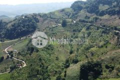 Cần tiền bán gấp mảnh đất view siêu đẹp tại vân hồ mộc châu