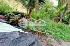 Bán nền giá rẻ thuộc ấp hòa hưng, xã long đức, huyện long phú, sóc trăng.