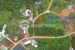 Cần bán đất thổ cư tại tp bảo lộc