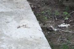 Đất nền rộng năm trăm mét