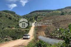 Đất biệt thự nghỉ dưỡng 530m2 kdt mới nam ban